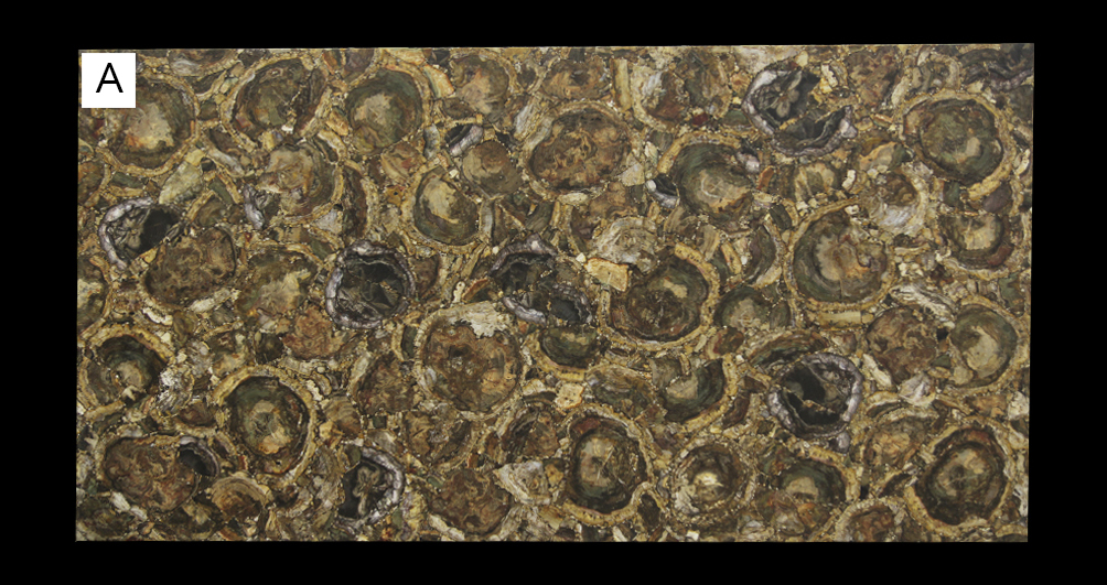 Эксклюзив Браун Петрифайд Вуд (кожа) / Brown Petrified Wood (leather) — слэб 20 мм, кожа · 3020 × 1600 мм · 11100111390