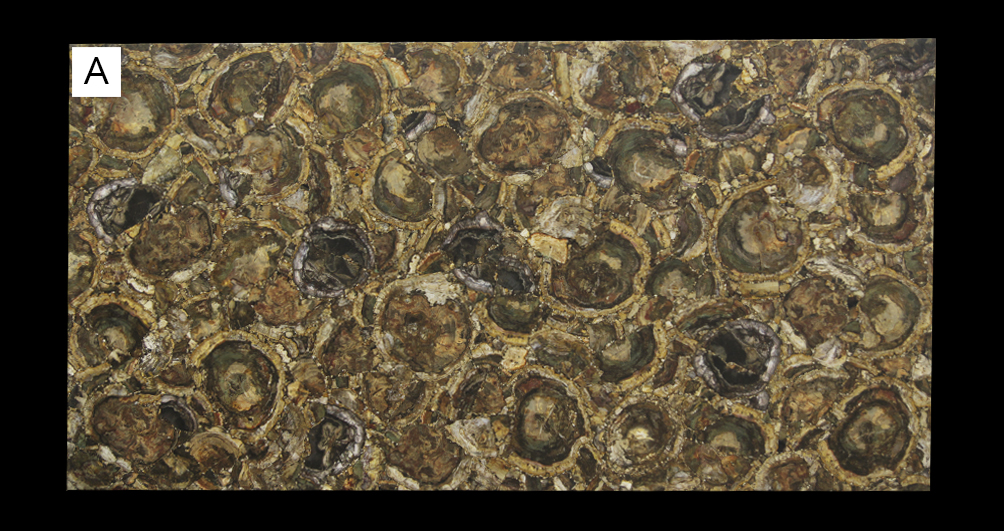 Эксклюзив Браун Петрифайд Вуд / Brown Petrified Wood — слэб 20 мм, полированный · 1800 × 500 мм · 11100111574