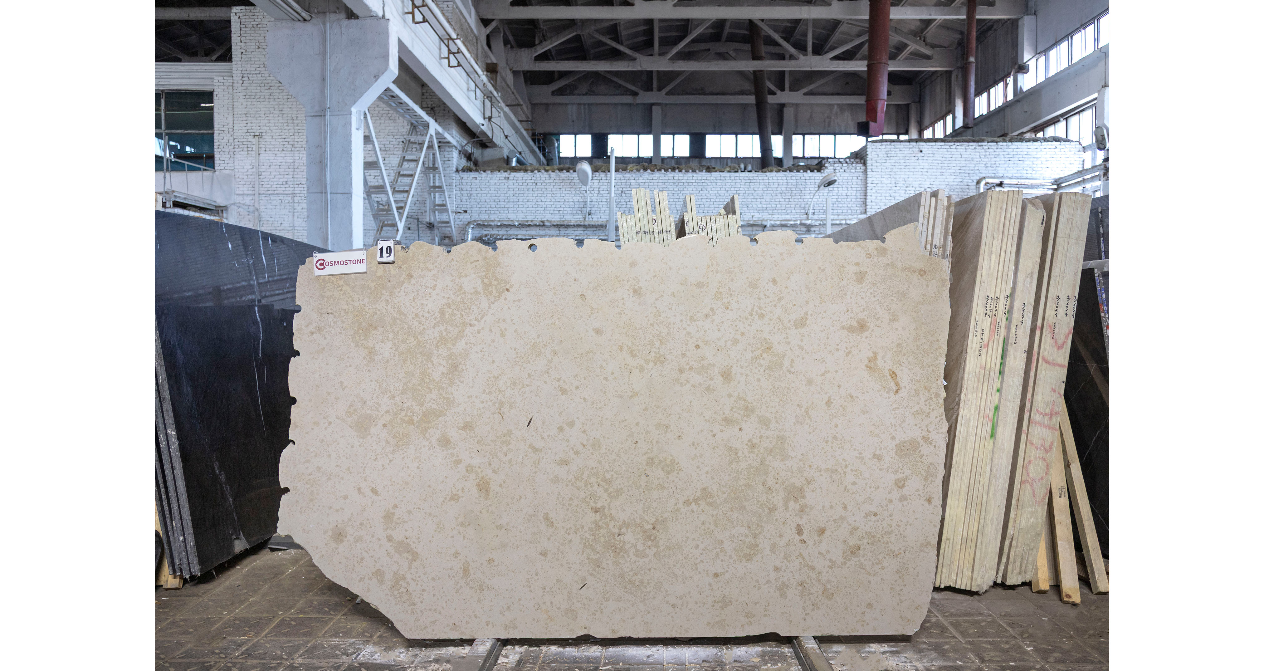 Известняк Юрский Беж / Jura Beige — слэб 23 мм, шлифованный · 2600 × 1550 мм · партия Л · № 019