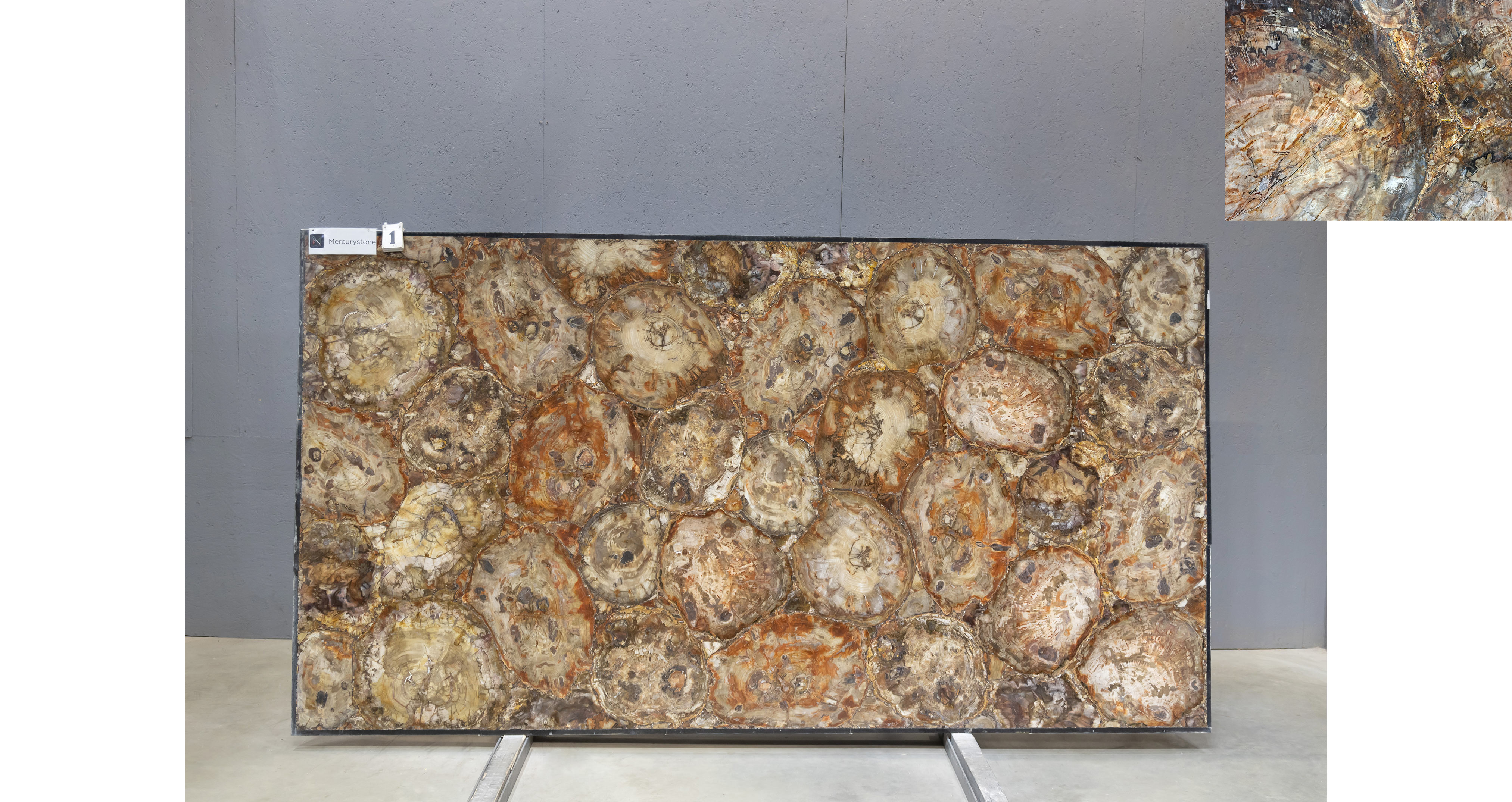 Эксклюзив Браун Петрифайд Вуд / Brown Petrified Wood — слэб 20 мм, полированный · 3010 × 1570 мм · партия Е* · № 001