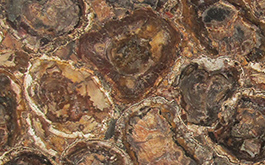 Эксклюзивная коллекция Эксклюзив Браун Петрифайд Вуд (кожа) / Brown Petrified Wood (leather) от компании Cosmostone | Широкий выбор слэбов камня по выгодным ценам в Москве