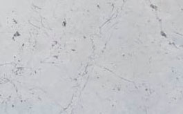 Мрамор Статуарио Каррара Экстра / Statuario Carrara Extra от компании Cosmostone | Широкий выбор слэбов камня по выгодным ценам в Москве