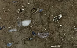 Песчаник Неро Аметиста / Agata Ametista от компании Cosmostone | Широкий выбор слэбов камня по выгодным ценам в Москве