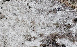 Гранит Артик Вайт / Artic White от компании Cosmostone | Широкий выбор слэбов камня по выгодным ценам в Москве