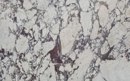 Calacatta Viola Premium