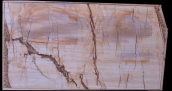 Мрамор Teak Wood / Тик Вуд 20 мм, Партия Б, Размер 1400 x 750 x 20 (акция) - фото 2