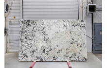 Айсберг Вайт, партия В