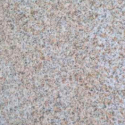 Гранит Сансет Голд (термо) / Sunset Gold Flamed