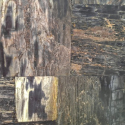 Эксклюзив Блэк Петрифайд Вуд Ретро / Black Petrified Wood Retro
